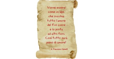 Citazione